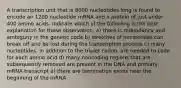 A transcription unit that is 8000 nucleotides long is found to encode an 1200 nucleotide mRNA and a protein of just under 400 amino acids. Indicate which of the following is the best explanation for these observation. a) there is redundancy and ambiguity in the genetic code b) stretches of nucleotides can break off and be lost during the transcription process c) many nucleotides, in addition to the triplet codon, are needed to code for each amino acid d) many noncoding regions that are subsequently removed are present in the DNA and primary mRNA transcript e) there are termination exons near the beginning of the mRNA