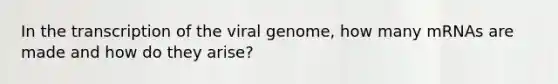 In the transcription of the viral genome, how many mRNAs are made and how do they arise?