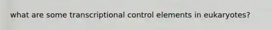 what are some transcriptional control elements in eukaryotes?