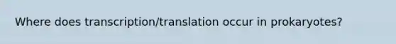 Where does transcription/translation occur in prokaryotes?