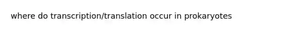 where do transcription/translation occur in prokaryotes