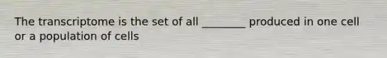 The transcriptome is the set of all ________ produced in one cell or a population of cells