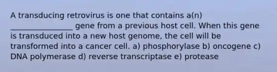 A transducing retrovirus is one that contains a(n) ________________ gene from a previous host cell. When this gene is transduced into a new host genome, the cell will be transformed into a cancer cell. a) phosphorylase b) oncogene c) DNA polymerase d) reverse transcriptase e) protease