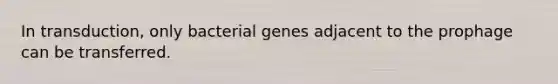 In transduction, only bacterial genes adjacent to the prophage can be transferred.