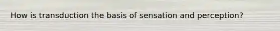 How is transduction the basis of sensation and perception?