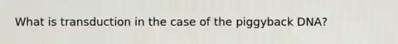 What is transduction in the case of the piggyback DNA?