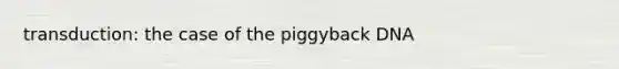 transduction: the case of the piggyback DNA