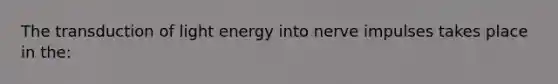 The transduction of light energy into nerve impulses takes place in the: