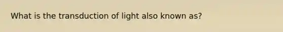 What is the transduction of light also known as?