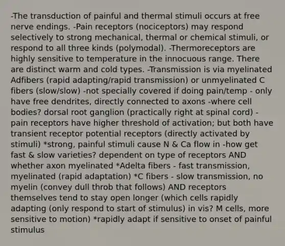 -The transduction of painful and thermal stimuli occurs at free nerve endings. -Pain receptors (nociceptors) may respond selectively to strong mechanical, thermal or chemical stimuli, or respond to all three kinds (polymodal). -Thermoreceptors are highly sensitive to temperature in the innocuous range. There are distinct warm and cold types. -Transmission is via myelinated Adfibers (rapid adapting/rapid transmission) or unmyelinated C fibers (slow/slow) -not specially covered if doing pain/temp - only have free dendrites, directly connected to axons -where cell bodies? dorsal root ganglion (practically right at spinal cord) -pain receptors have higher threshold of activation; but both have transient receptor potential receptors (directly activated by stimuli) *strong, painful stimuli cause N & Ca flow in -how get fast & slow varieties? dependent on type of receptors AND whether axon myelinated *Adelta fibers - fast transmission, myelinated (rapid adaptation) *C fibers - slow transmission, no myelin (convey dull throb that follows) AND receptors themselves tend to stay open longer (which cells rapidly adapting (only respond to start of stimulus) in vis? M cells, more sensitive to motion) *rapidly adapt if sensitive to onset of painful stimulus