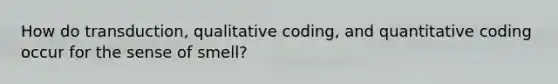 How do transduction, qualitative coding, and quantitative coding occur for the sense of smell?