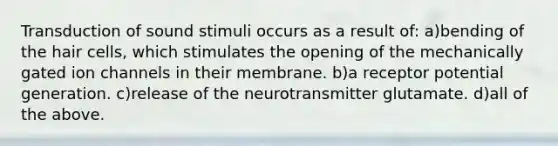 Transduction of sound stimuli occurs as a result of: a)bending of the hair cells, which stimulates the opening of the mechanically gated ion channels in their membrane. b)a receptor potential generation. c)release of the neurotransmitter glutamate. d)all of the above.