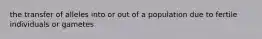 the transfer of alleles into or out of a population due to fertile individuals or gametes
