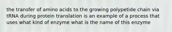 the transfer of <a href='https://www.questionai.com/knowledge/k9gb720LCl-amino-acids' class='anchor-knowledge'>amino acids</a> to the growing polypetide chain via tRNA during protein translation is an example of a process that uses what kind of enzyme what is the name of this enzyme