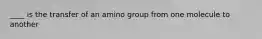 ____ is the transfer of an amino group from one molecule to another