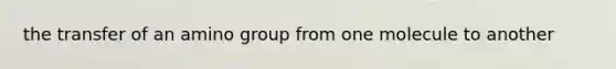 the transfer of an amino group from one molecule to another