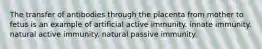 The transfer of antibodies through the placenta from mother to fetus is an example of artificial active immunity. innate immunity. natural active immunity. natural passive immunity.