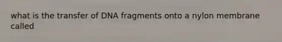 what is the transfer of DNA fragments onto a nylon membrane called