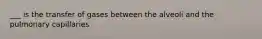 ___ is the transfer of gases between the alveoli and the pulmonary capillaries