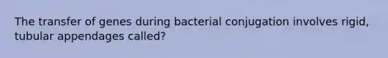 The transfer of genes during bacterial conjugation involves rigid, tubular appendages called?