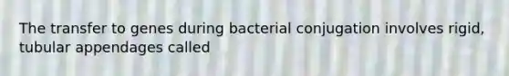 The transfer to genes during bacterial conjugation involves rigid, tubular appendages called