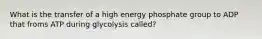 What is the transfer of a high energy phosphate group to ADP that froms ATP during glycolysis called?