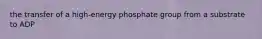 the transfer of a high-energy phosphate group from a substrate to ADP