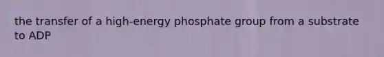 the transfer of a high-energy phosphate group from a substrate to ADP