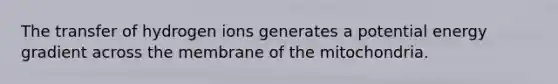 The transfer of hydrogen ions generates a potential energy gradient across the membrane of the mitochondria.