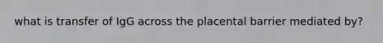 what is transfer of IgG across the placental barrier mediated by?