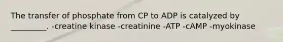 The transfer of phosphate from CP to ADP is catalyzed by _________. -creatine kinase -creatinine -ATP -cAMP -myokinase