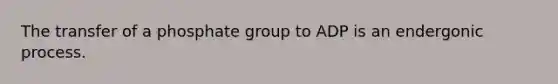 The transfer of a phosphate group to ADP is an endergonic process.