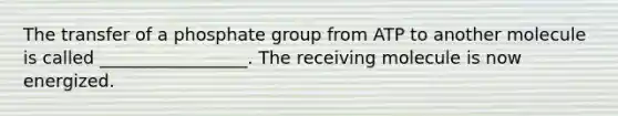 The transfer of a phosphate group from ATP to another molecule is called _________________. The receiving molecule is now energized.