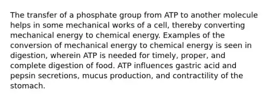 The transfer of a phosphate group from ATP to another molecule helps in some mechanical works of a cell, thereby converting mechanical energy to chemical energy. Examples of the conversion of mechanical energy to chemical energy is seen in digestion, wherein ATP is needed for timely, proper, and complete digestion of food. ATP influences gastric acid and pepsin secretions, mucus production, and contractility of the stomach.