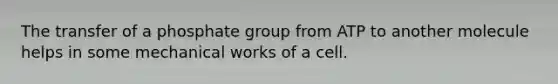 The transfer of a phosphate group from ATP to another molecule helps in some mechanical works of a cell.