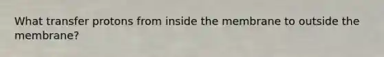 What transfer protons from inside the membrane to outside the membrane?