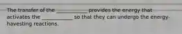 The transfer of the ____________ provides the energy that activates the ____________ so that they can undergo the energy-havesting reactions.