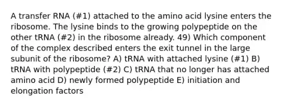 A <a href='https://www.questionai.com/knowledge/kYREgpZMtc-transfer-rna' class='anchor-knowledge'>transfer rna</a> (#1) attached to the amino acid lysine enters the ribosome. The lysine binds to the growing polypeptide on the other tRNA (#2) in the ribosome already. 49) Which component of the complex described enters the exit tunnel in the large subunit of the ribosome? A) tRNA with attached lysine (#1) B) tRNA with polypeptide (#2) C) tRNA that no longer has attached amino acid D) newly formed polypeptide E) initiation and elongation factors