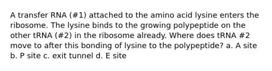 A transfer RNA (#1) attached to the amino acid lysine enters the ribosome. The lysine binds to the growing polypeptide on the other tRNA (#2) in the ribosome already. Where does tRNA #2 move to after this bonding of lysine to the polypeptide? a. A site b. P site c. exit tunnel d. E site