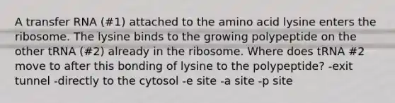 A transfer RNA (#1) attached to the amino acid lysine enters the ribosome. The lysine binds to the growing polypeptide on the other tRNA (#2) already in the ribosome. Where does tRNA #2 move to after this bonding of lysine to the polypeptide? -exit tunnel -directly to the cytosol -e site -a site -p site