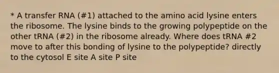 * A transfer RNA (#1) attached to the amino acid lysine enters the ribosome. The lysine binds to the growing polypeptide on the other tRNA (#2) in the ribosome already. Where does tRNA #2 move to after this bonding of lysine to the polypeptide? directly to the cytosol E site A site P site