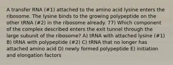 A <a href='https://www.questionai.com/knowledge/kYREgpZMtc-transfer-rna' class='anchor-knowledge'>transfer rna</a> (#1) attached to the amino acid lysine enters the ribosome. The lysine binds to the growing polypeptide on the other tRNA (#2) in the ribosome already. 77) Which component of the complex described enters the exit tunnel through the large subunit of the ribosome? A) tRNA with attached lysine (#1) B) tRNA with polypeptide (#2) C) tRNA that no longer has attached amino acid D) newly formed polypeptide E) initiation and elongation factors