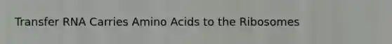 Transfer RNA Carries Amino Acids to the Ribosomes