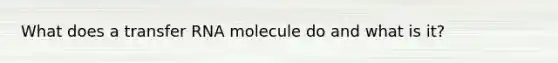 What does a transfer RNA molecule do and what is it?