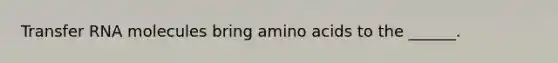 Transfer RNA molecules bring amino acids to the ______.