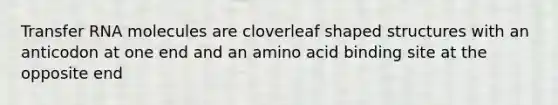 Transfer RNA molecules are cloverleaf shaped structures with an anticodon at one end and an amino acid binding site at the opposite end