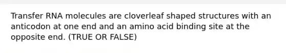 Transfer RNA molecules are cloverleaf shaped structures with an anticodon at one end and an amino acid binding site at the opposite end. (TRUE OR FALSE)