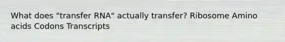 What does "transfer RNA" actually transfer? Ribosome Amino acids Codons Transcripts