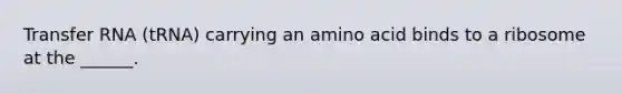 <a href='https://www.questionai.com/knowledge/kYREgpZMtc-transfer-rna' class='anchor-knowledge'>transfer rna</a> (tRNA) carrying an amino acid binds to a ribosome at the ______.