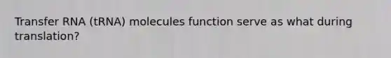 Transfer RNA (tRNA) molecules function serve as what during translation?